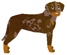 Profile image of Dragosani CHRISTMAS CAROL