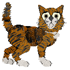 EC's Menagerie Bound — “Raja”