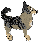 Profile image of Paradigm Under Saarthal