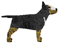 Of Course Stryk It Rich — “Stryker”