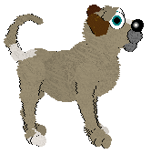 Arrow's Nazar — “Charm”