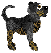 Flame's My Strange Addiction — “Ozzy”