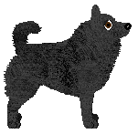 Cansas' Darky Boy — “Maxke”