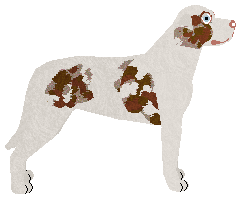 Dragosani KINDER NIESPODZIANKA — “Kinderek”