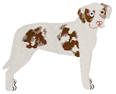 Profile image of Dragosani KINDER NIESPODZIANKA