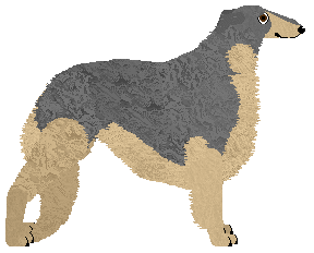 Expedition's Perfect Example — “Moris”