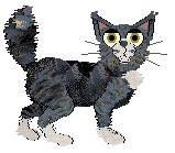 EC's Pharaoh Sails to Orion — “Orion”