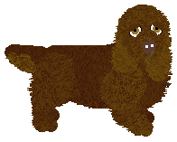 Profile image of Geriatrix What A Lotta Chocca