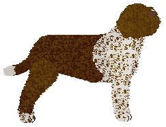 Lakeshore's Reggio di Calabria — “Calabria”