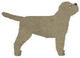 Rynnti Santa Marinella — “Mari”