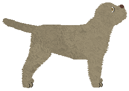 Rynnti Santa Marinella — “Mari”