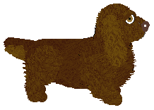 Geriatrix Cuppa Mocha — “Bracken”