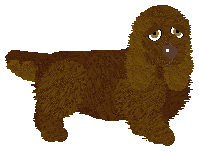 Profile image of Geriatrix Cuppa Mocha