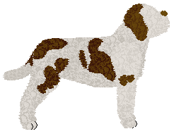 Kamvis' Albano Laziale — “Pinto”