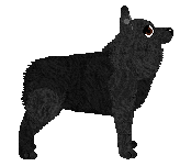 Aura's Fresh Blueberry Pie — “Baked”