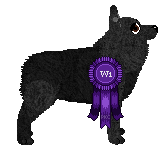 Conformation Champion: Aura's Fresh Blueberry Pie