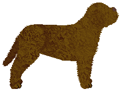 Energizing RADIOACTIVE — “Chandler”