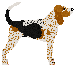 Pemberley Play Pretend — “Aero”