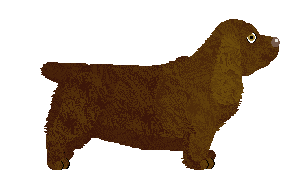 Geriatrix Morning Coffee — “Moss”