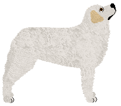 Vulpes Tundra Storm of Frostmourne — “Arctic”