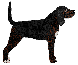 TrailHawk's Funky Puzzle Zone — “Mercer”