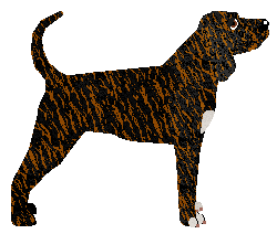 TrailHawk's The Star Room — “Reya”