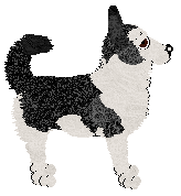 Paradigm Night Of Tears — “Ysgramor”