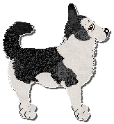 Profile image of Paradigm Night Of Tears