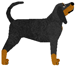 Power Over Me of Attitude — “Skye”