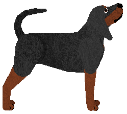 Sicko Mode of Attitude — “Zeke”