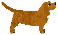 Cansas' Total Enigma — “Roomi”