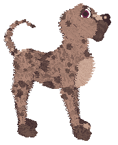 FDL's Marche des Beignets en Chocolat Tao — “Beignet”