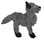 HKC's Captain Obvious at Chachke — “Blitzen”