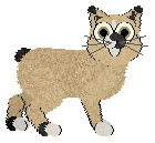 Wanderly's Out of Fashion at Chachke — “Binky”