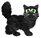 Taremu Coal Kitty — “Charcoal”