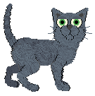 Taremu Blue Raspberry — “Cordon”