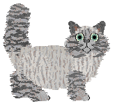 Taremu One Day Happens — “Everlong”