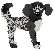 Sz's Sweeping Exclamation at Medusa — “Dozer”