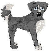 Sz's Toasted Sunlight at Medusa — “Roadway”