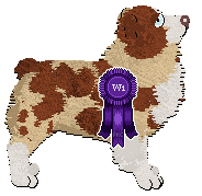 Profile image of Spellbound's Cootamundra Wattle at Gracepoint