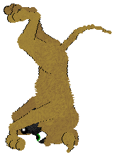 SeaGlass's These Bootz Were Made for Gardening — “Green Bootz”