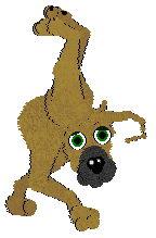 SeaGlass's These Bootz Were Made for Gardening — “Green Bootz”