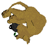 SeaGlass's These Bootz Were Made for Gardening — “Green Bootz”