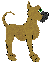 SeaGlass's These Bootz Were Made for Gardening — “Green Bootz”