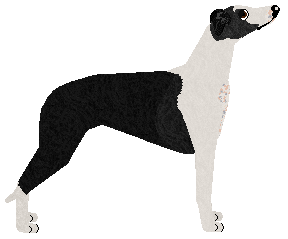 Jetstream On Earth We're Briefly Gorgeous — “Hobi”