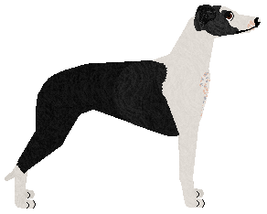 Jetstream On Earth We're Briefly Gorgeous — “Hobi”