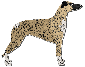 Profile image of Jetstream We Are Green And Trembling