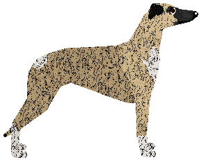 Jetstream We Are Green And Trembling — “Taehyung”