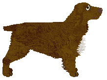 Energizing LA LUNA — “Laluna”