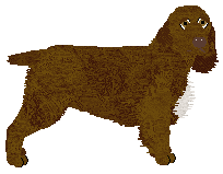 Profile image of Energizing LA LUNA